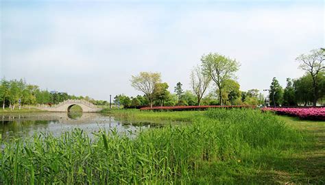 池塘 意思|池塘的意思